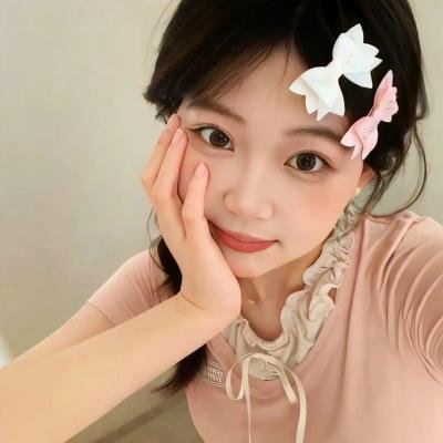 借口公司2